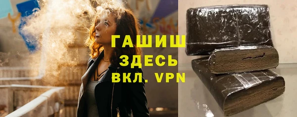 стаф Дмитровск