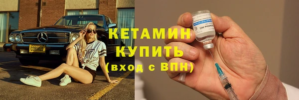 стаф Дмитровск
