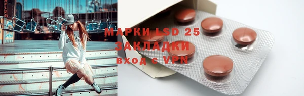 мяу мяу мука Дмитриев