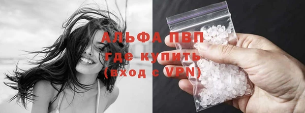 мяу мяу мука Дмитриев