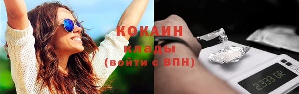 стаф Дмитровск