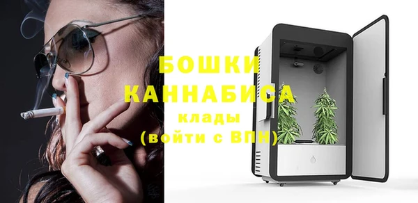 мяу мяу мука Дмитриев