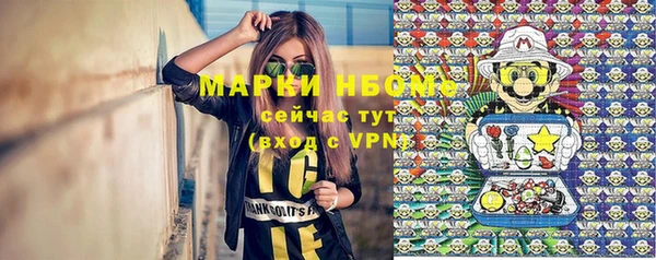 стаф Дмитровск