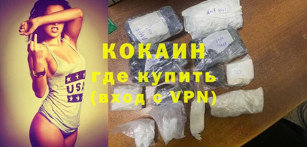 стаф Дмитровск