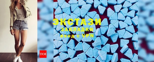 стаф Дмитровск