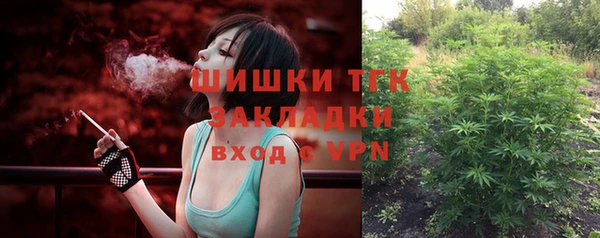 мяу мяу мука Дмитриев