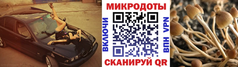 Псилоцибиновые грибы ЛСД Чехов
